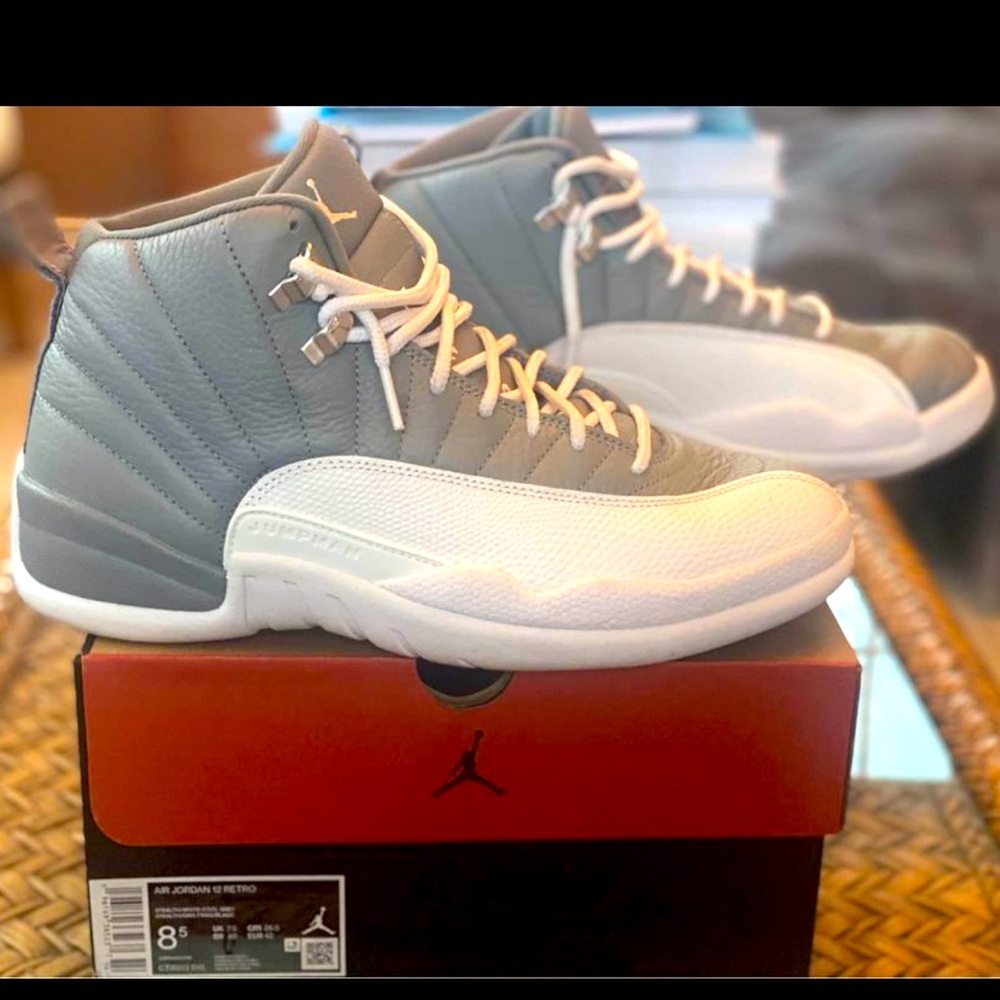 Mens Air Jordan 12 Retro Cool Grey Stealth 8.5